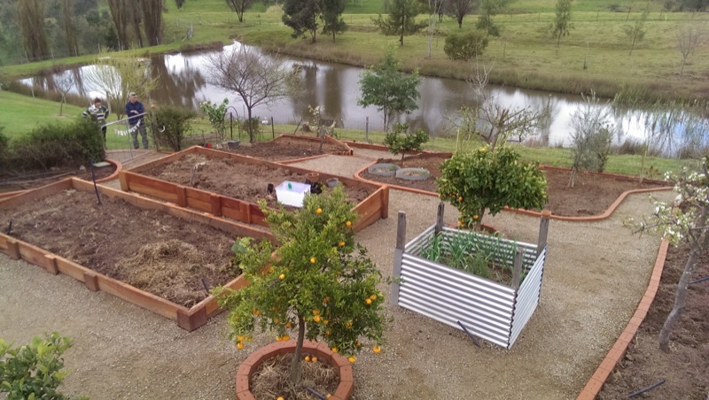 Veggie Garden